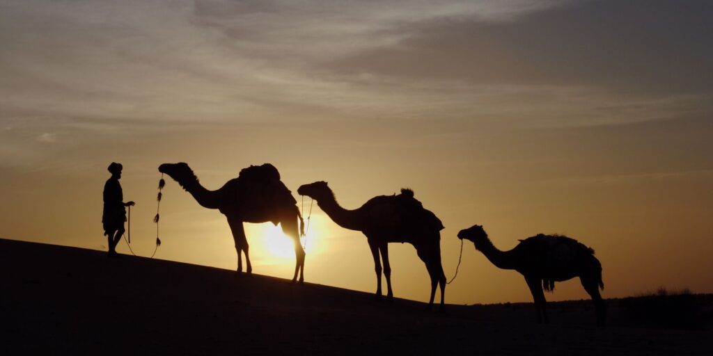 EXCURSIONES AL DESIERTO DE MARRAKECH | DESDE 1-5 DÍAS